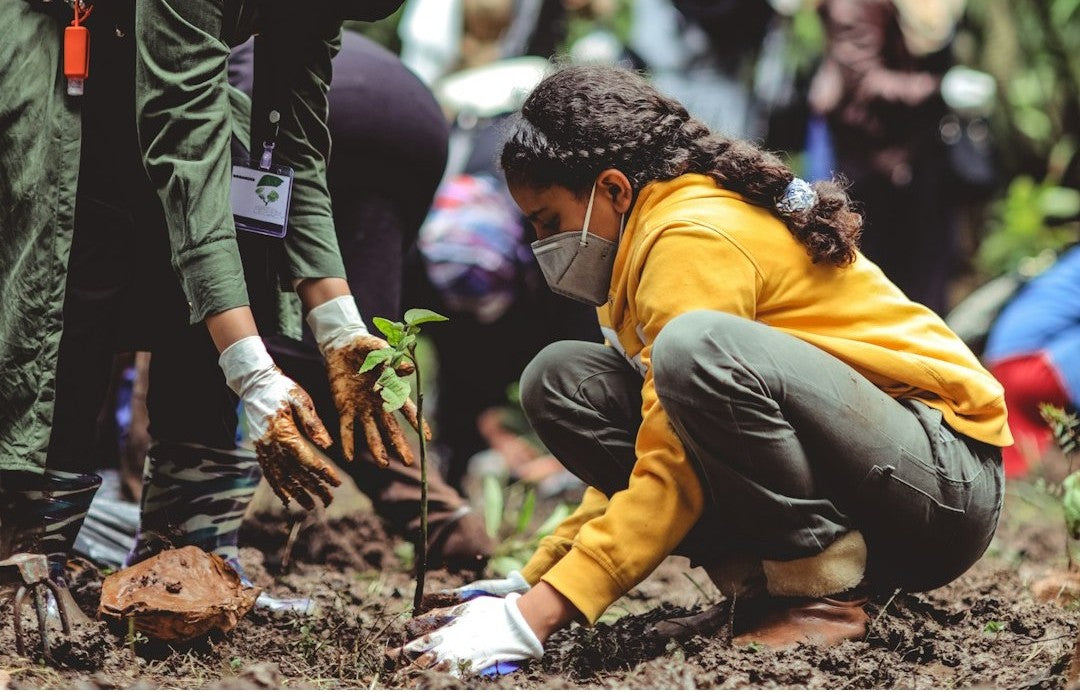 Brighten Your Space and the Planet: How Neon Daddy and Good API Are Making a Difference with Every Order