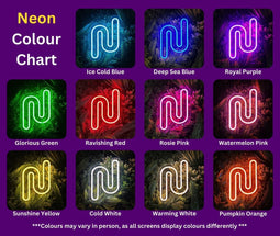 Custom LED Sign - Custom LED neon sign - 'TJX' (Ravishing Red+RGB+Ceiling Hanging Kit+Battery Pack+Dimmer Remote+Waterproofing) - 75 x 35 cm - Neon Daddy