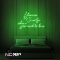 You Are Exactly Where You Need to Be Neon Sign - Image 6